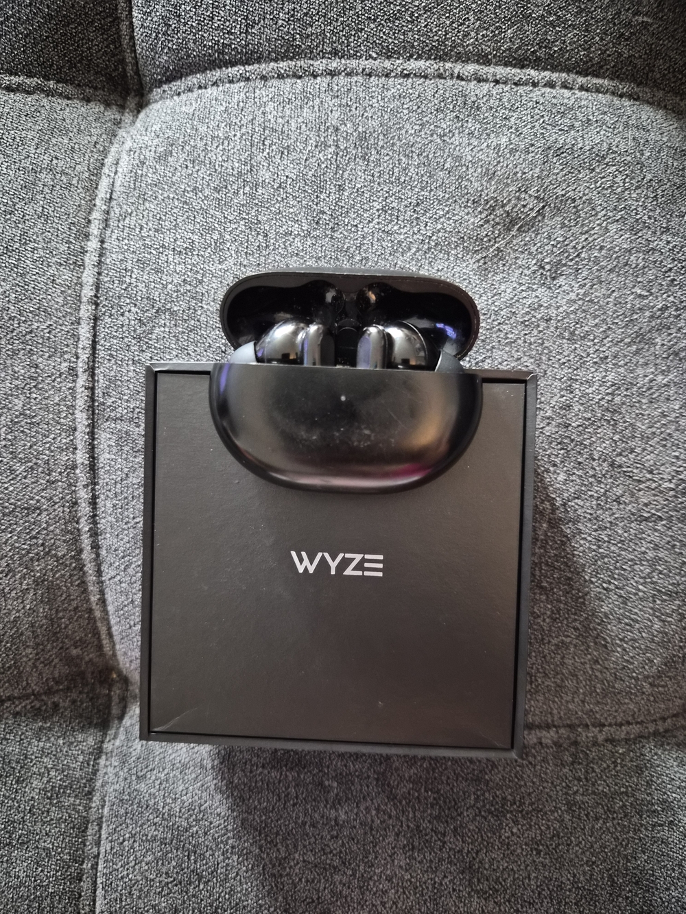 Wyze True Wireless Earbuds in Black